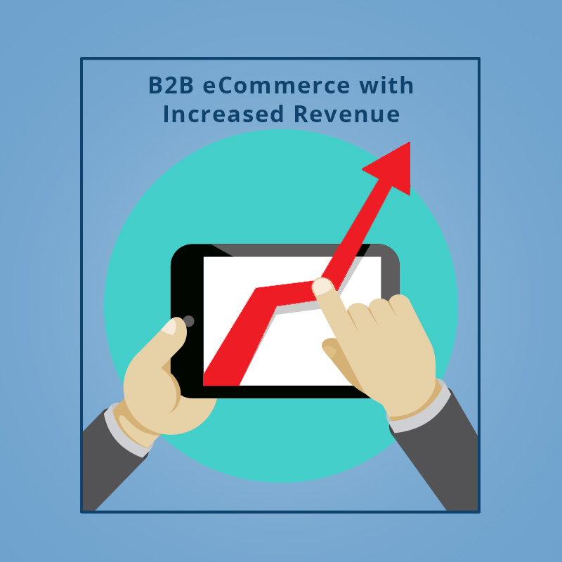 B2B ECommerce With Increased Revenue